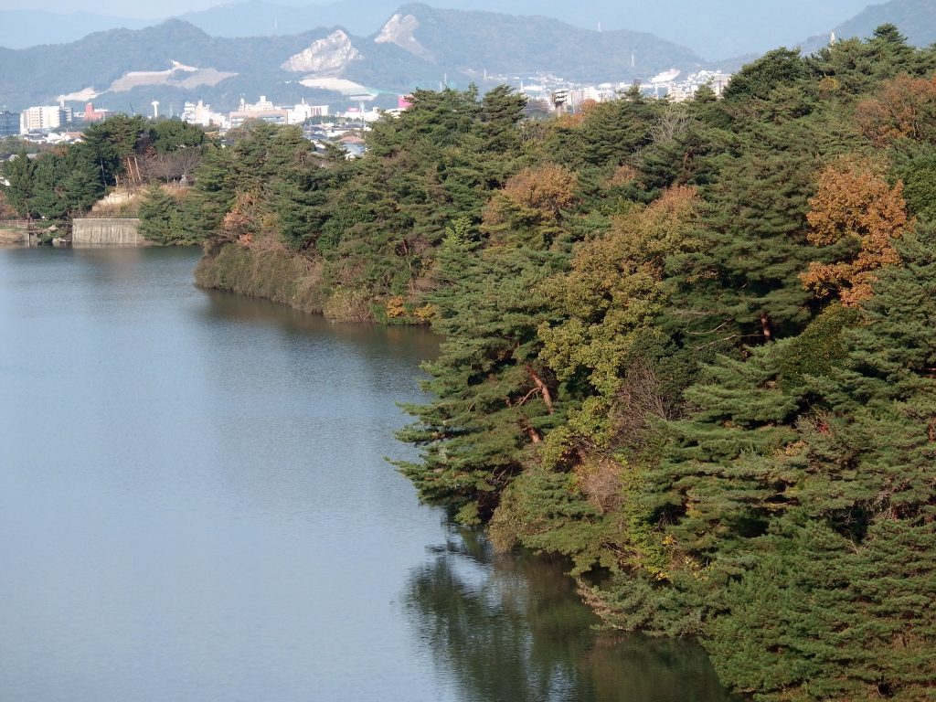 福岡県春日市『白水大池公園』展望台からズーム撮影