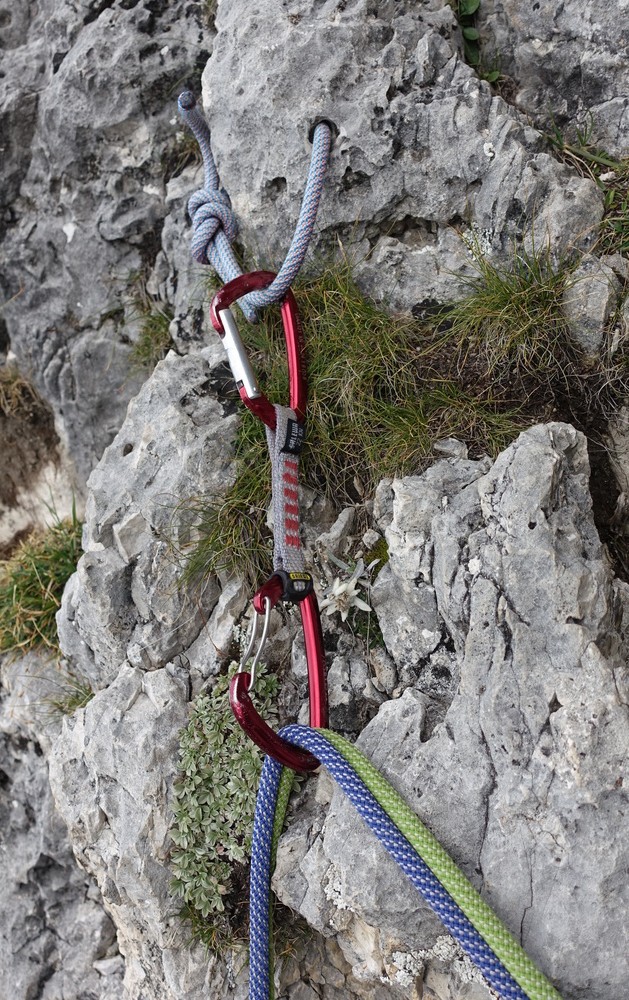 EDELWEISS（エーデルワイス）｜1790年創業。現代ロープの礎を築いた、安全と革新の象徴。