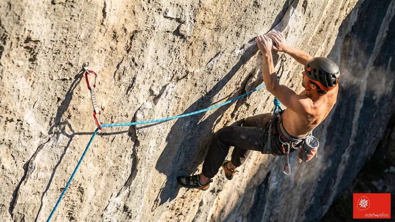 EDELWEISS（エーデルワイス）｜1790年創業。現代ロープの礎を築いた、安全と革新の象徴。